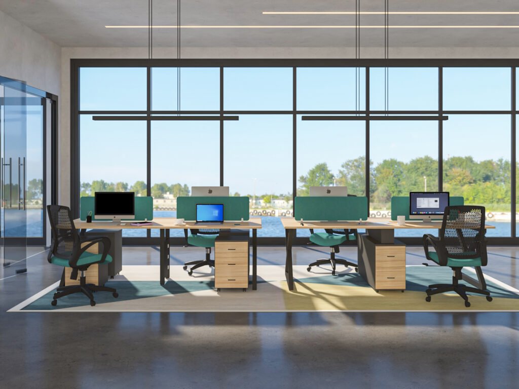 Amelia Workstation