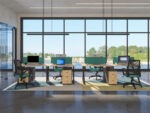 Amelia Workstation