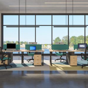 Amelia Workstation