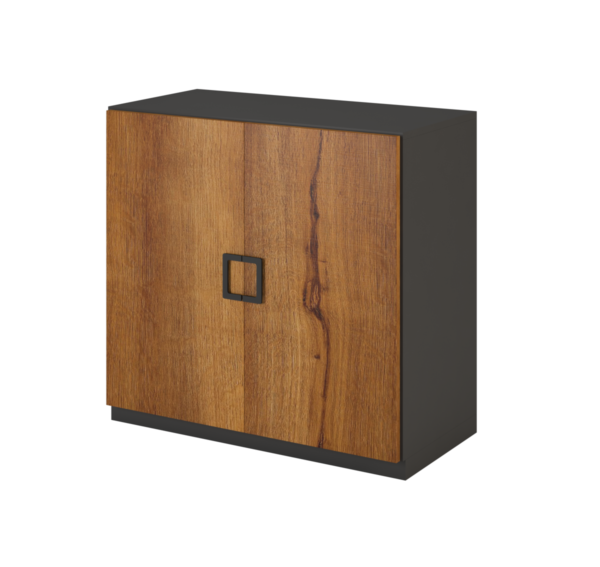 Freedom Storage Cabinet 1