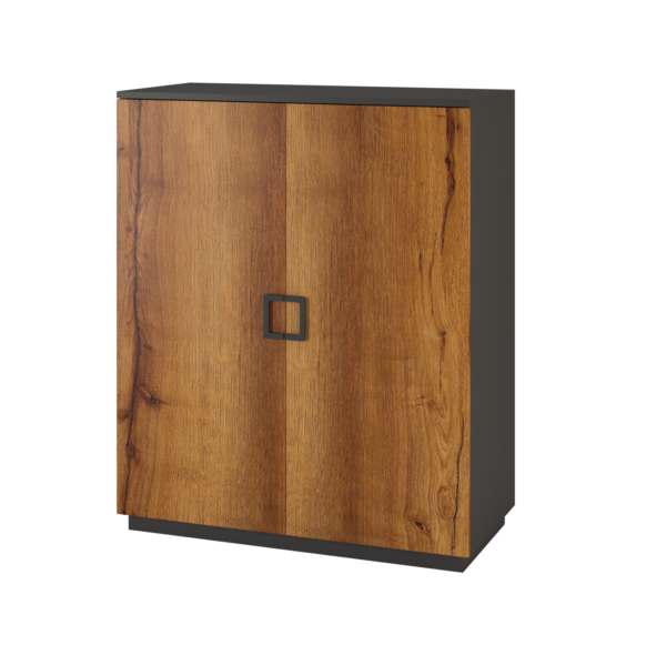 Freedom Storage Cabinet 1