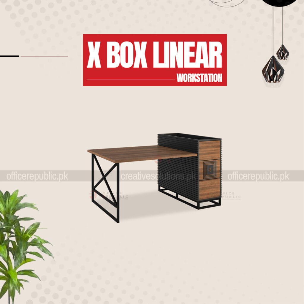 X BOX SERIES LINEAR 2 PERSON WORKSTATION - Office Furniture