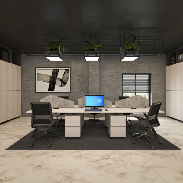 Exsoz Workstation