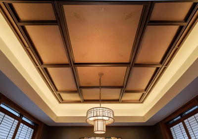 Sleek Aina-Kari Ceiling