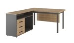 Junior Manager Desk