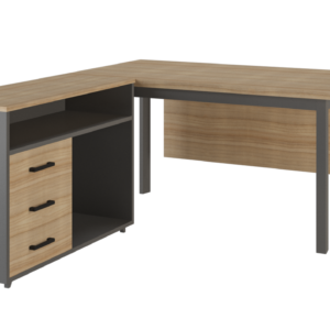 Junior Manager Desk