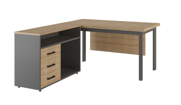 Junior Manager Desk