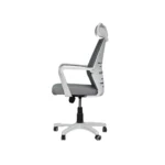 Spectra Manager Chair -1