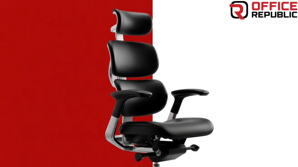 Orthopedic Support Office Chair