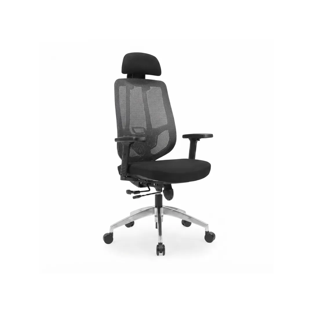 Shop Sargo Executive Chair | officerepublic High back profile of Sargo Executive Chair supporting modern office ergonomics