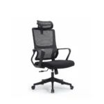 Dynamic lumbar support curves visible on the dark Ascend Manager Chair