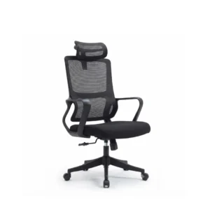 Dynamic lumbar support curves visible on the dark Ascend Manager Chair