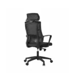Elite Manager Chair arranged neatly behind a modern managerial office desk