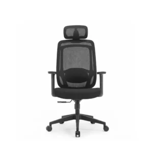 Compact setup featuring Luna Manager Chair positioned at a study desk