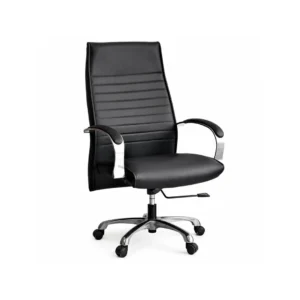 Modern Onyx Executive Chair designed for long hours of productive office work.