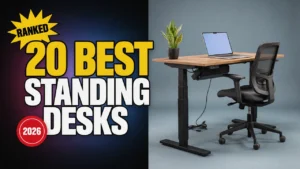20 Best Height Adjustable Standing Desk